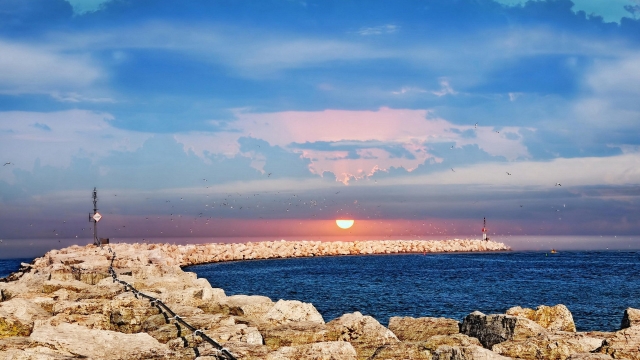 法国禁止游戏中使用英语术语！法语新表达又增加了！法专生：我学不完了......